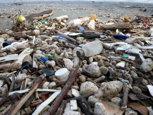 Détail sur une plage pleine de détritus