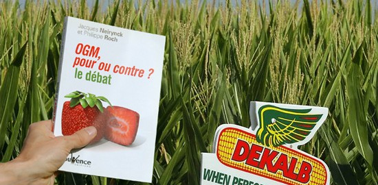 Le livre "OGM pour ou contre", et derrière un champ de maïs Dekalb