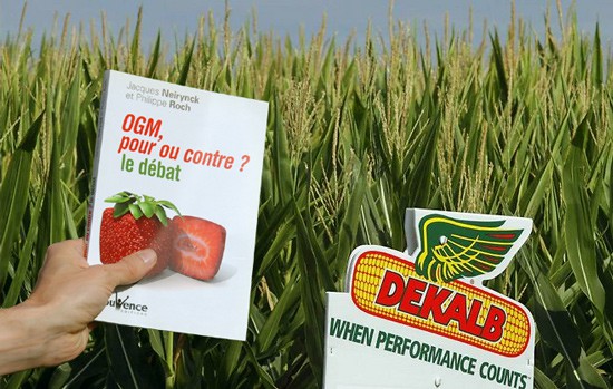 Le livre "OGM pour ou contre", et derrière un champ de maïs Dekalb
