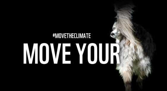 La campagne du WWF, avec mon chien