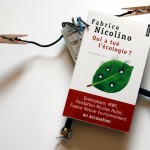 Mobilou écrasé par les accusations de Nicolino